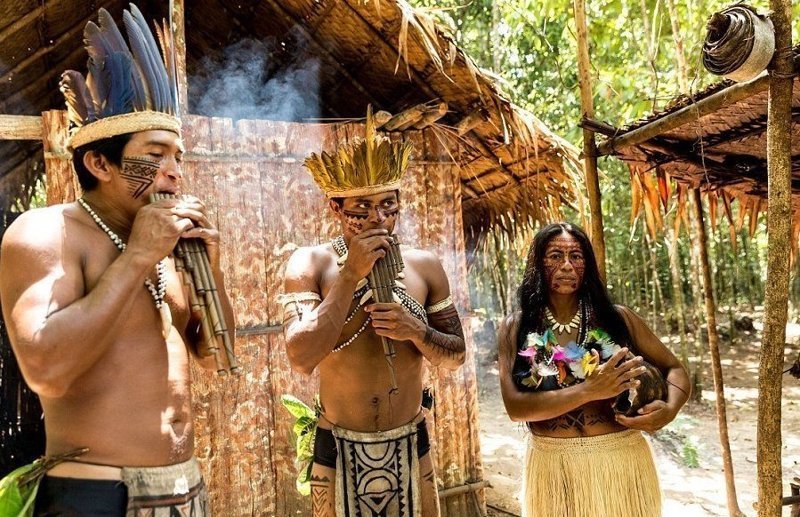 Джунглях живут люди. Индейцы Бразилии Дикие племена. Племена Амазонии.