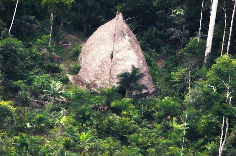 Власти Бразилии обнаружили дикое племя, никогда не встречавшееся с цивилизацией
