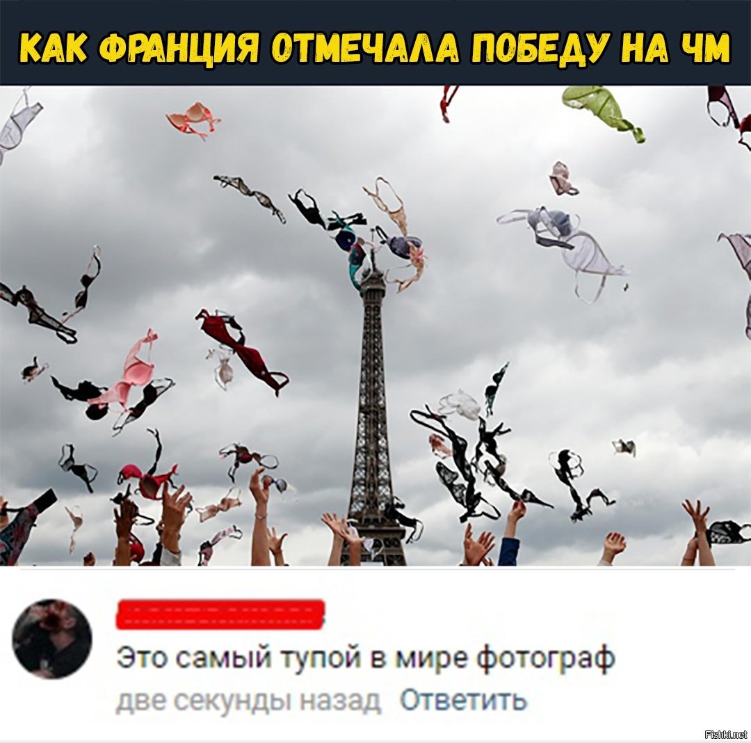 Кто самый глупый на картинке на дереве ответ