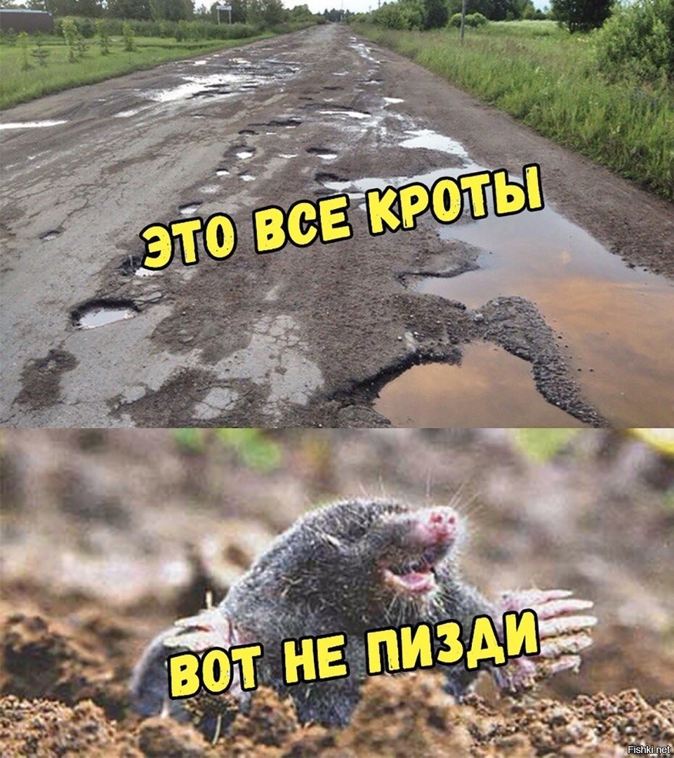 Жеваный крот