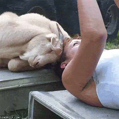 Под знаком козерога