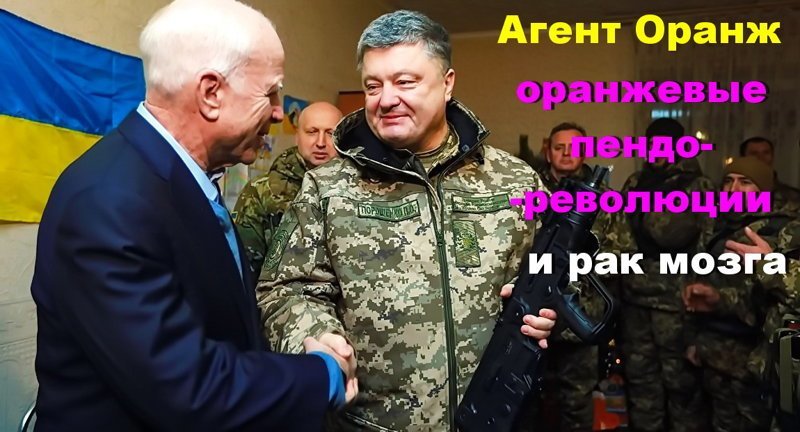 При попадании в организм диоксин вызывает онкологические заболевания дыхательных путей, мозга, различные проблемы с печенью и кровью, подавляет работу иммунной системы и приводит к состоянию так называемого «химического СПИДа».