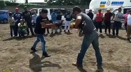 b6678c0a92eba3cd178d1ac36df901b1.gif
