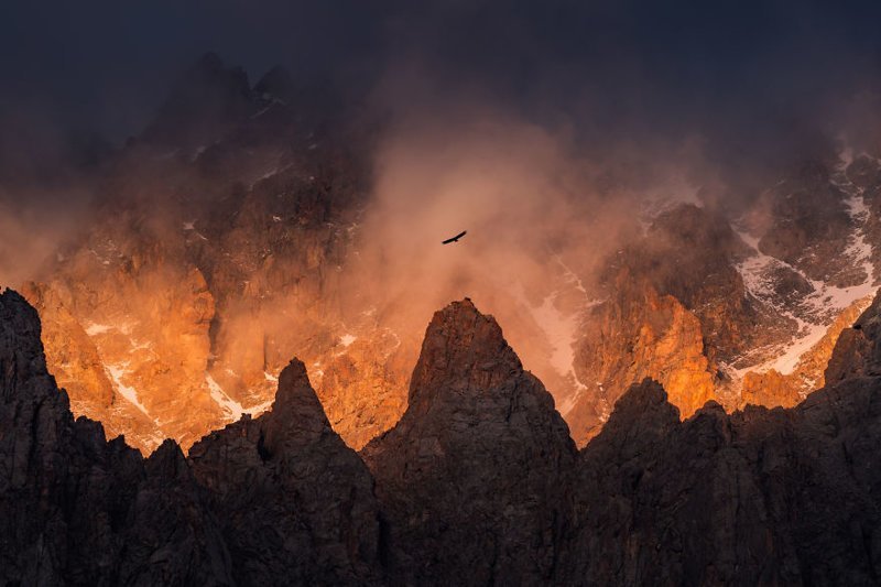 Орел, летающий над вершинами гор в природном парке Ала-Арча