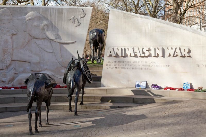 В память погибшим во время войны животным уже установлен один памятник. Он находится в лондонском Гайд-парке, и на нем написано: "У них не было выбора".