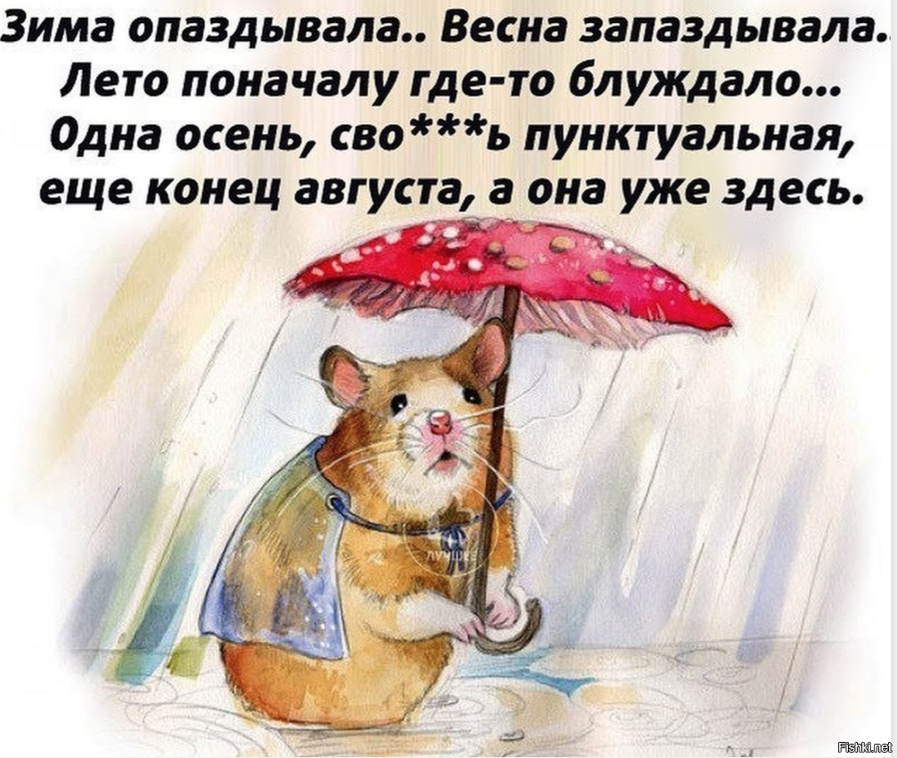 Еще летом года стало. Хомяк с зонтиком. Мышка с зонтиком. Мышонок под дождем. Хомяк с зонтом.