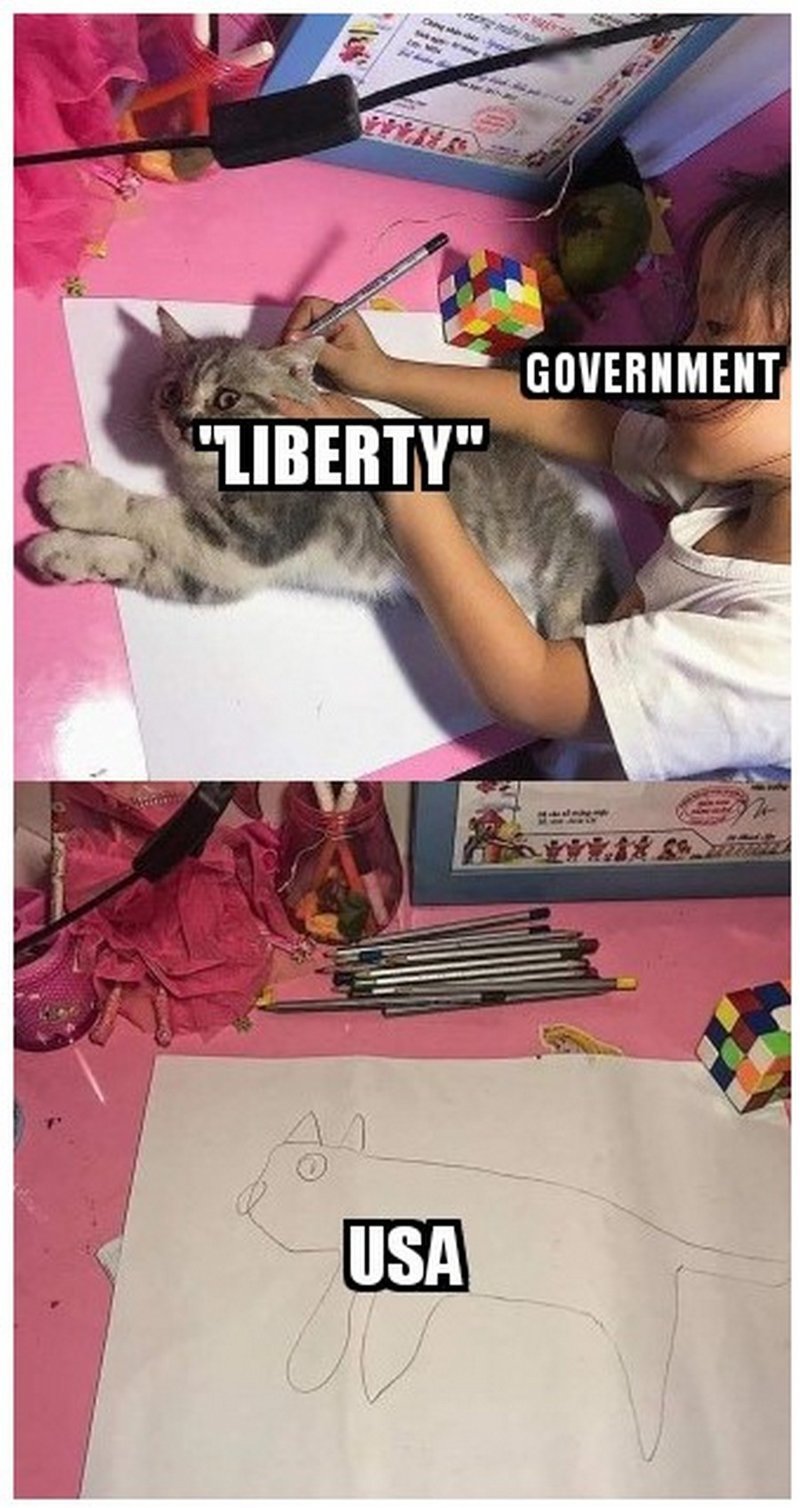 США и свобода