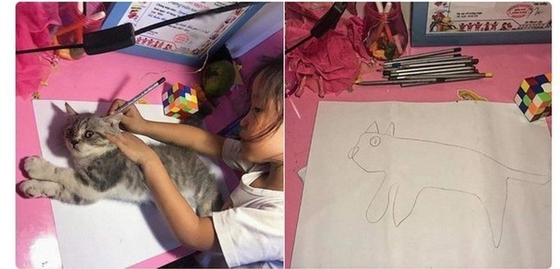 Девочка хотела нарисовать кошку, а получился новый мем