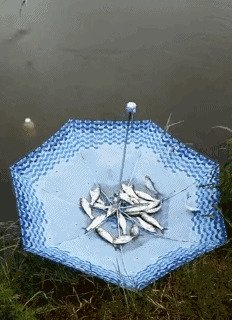 Всегда берите на рыбалку зонт