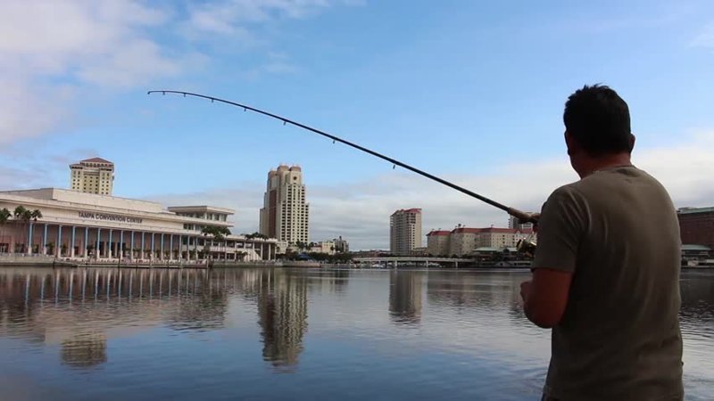 Рыбаки большого города