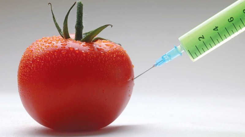 «Продукты с ГМО опасны»