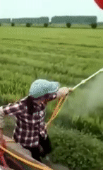 Немного фантазии, чтобы облегчить тяжелый труд