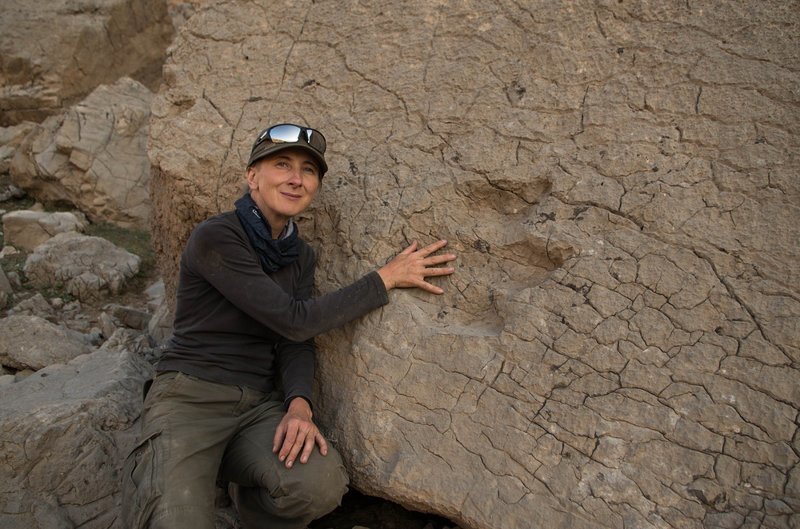 У меня лапки: в Узбекистане нашли следы динозавров