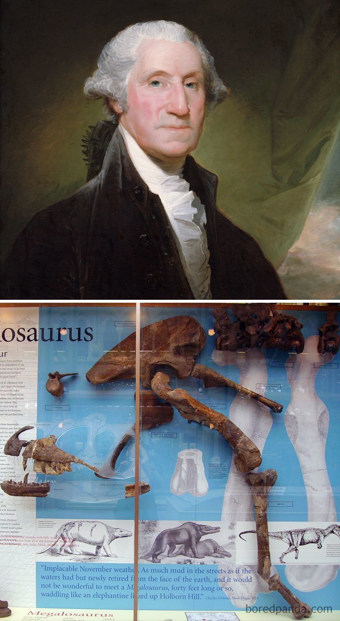 5. Джордж Вашингтон умер в 1799 году. Первые останки динозавров были обнаружены в 1824 году. Джордж Вашингтон не знал, что существуют динозавры