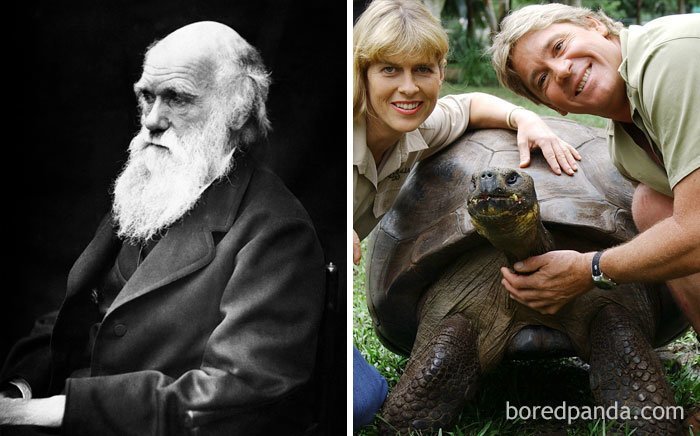 4. Черепаха Гариетта, которая умерла в 2006 году, когда-то видела Чарльза Дарвина