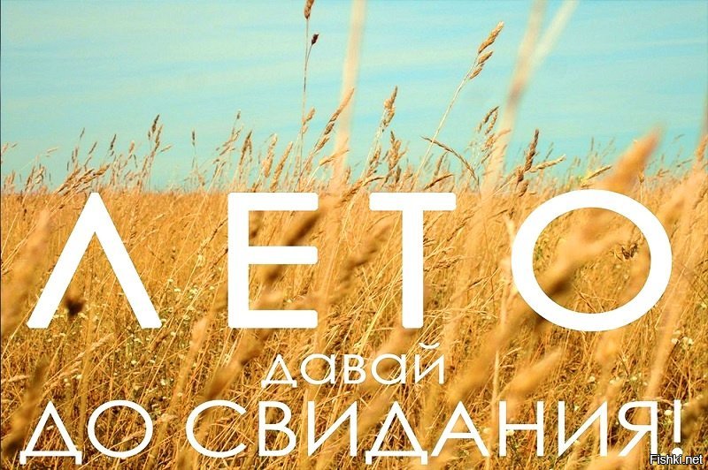 Лето, прикольные картинки с надписями про лето закончилось