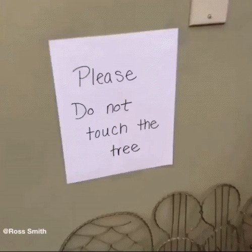 Надпись: "не трогайте дерево"