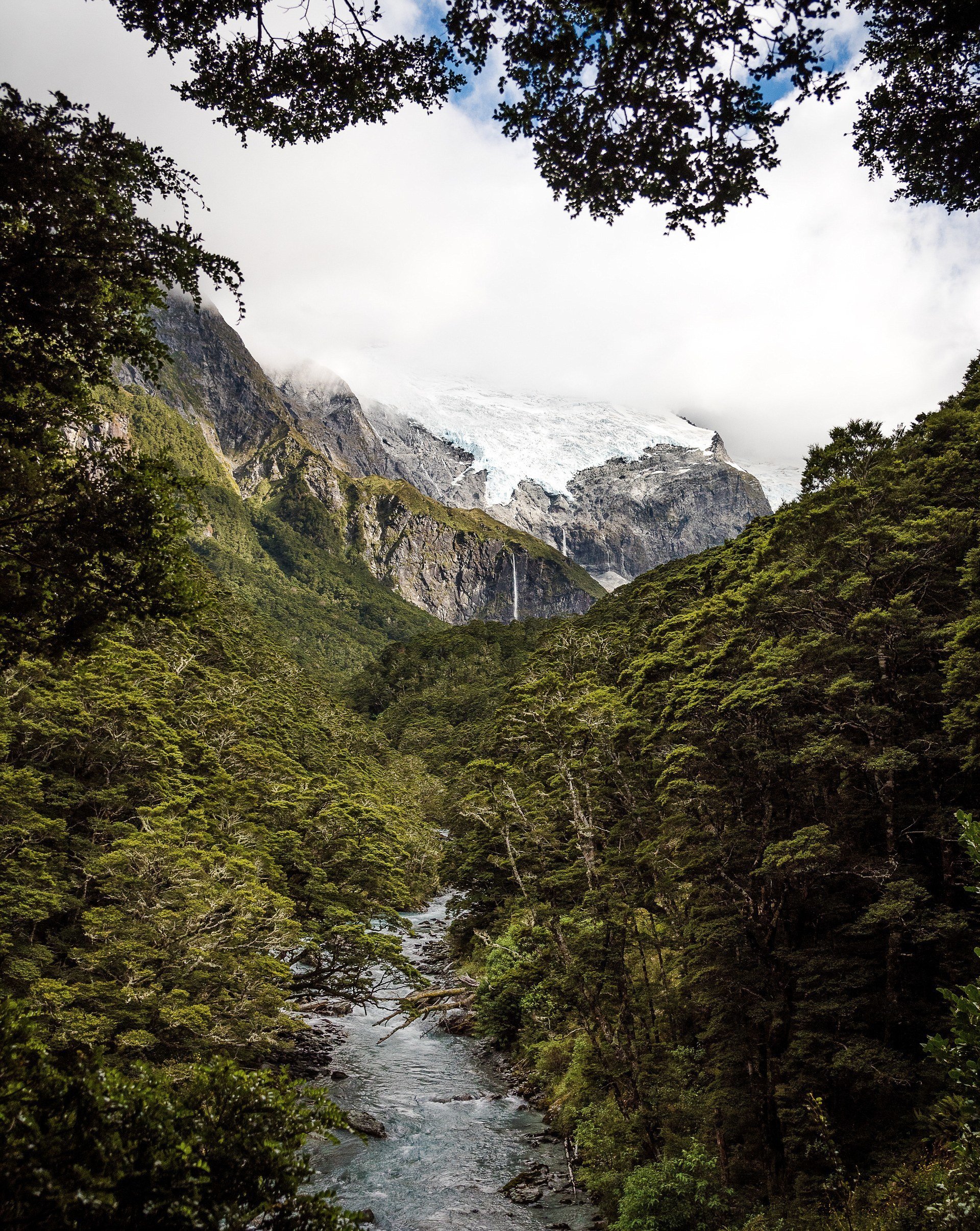 В Новой Зеландии есть места, напоминающие доисторический мир, - как на этой фотографии. Гора Аспиринг, ледник Роба Роя