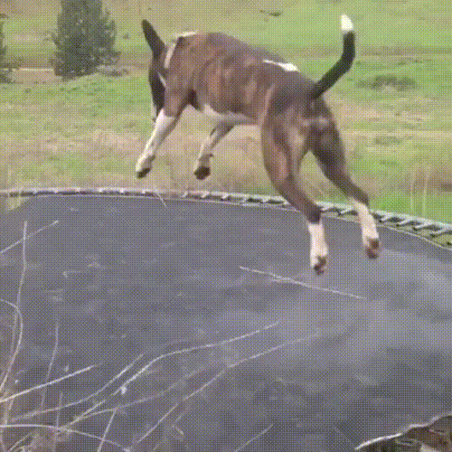 Гифки дня Гифки дня