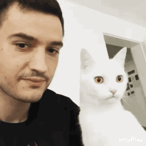 Гифки дня Гифки дня