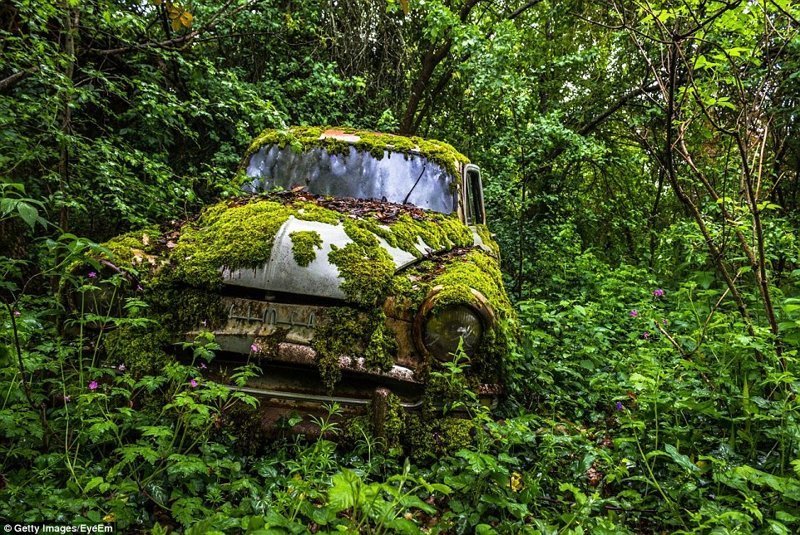 4. Фото ржавого автомобиля, заросшего мхом, было сделано французским фотографом Антуаном Жакьё