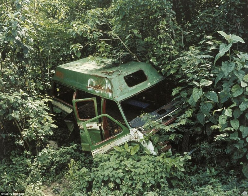 22. Зеленый заброшенный фургон в неизвестном месте, поглощенный пейзажем.
