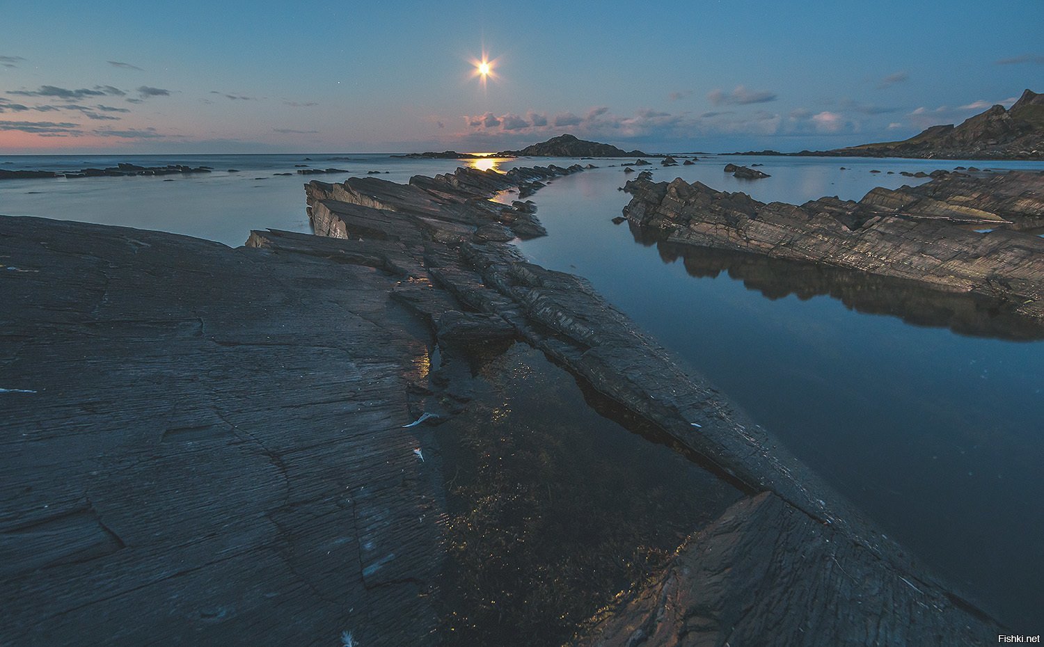 баренцево моря