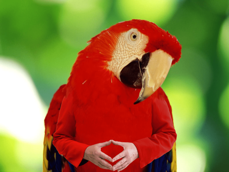 Пользователи представили, как выглядели бы птицы с человеческими руками — и им они чертовски идут!