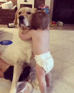 Когда твой маленький друг очень любит обниматься