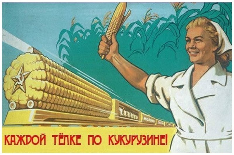 Царица полей: как кукуруза разорила СССР