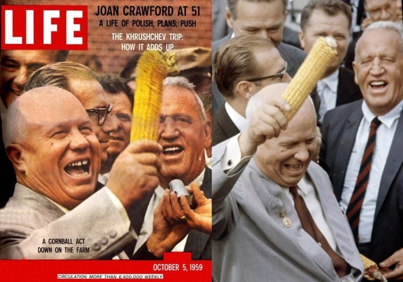 Царица полей: как кукуруза разорила СССР