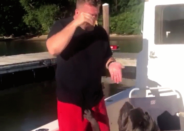 Гифки неудачного дня