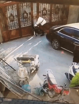 Гифки неудачного дня