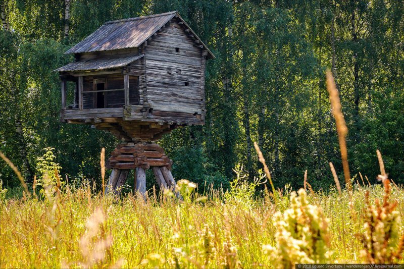 Кострома. Музей деревянного зодчества "Костромская слобода"