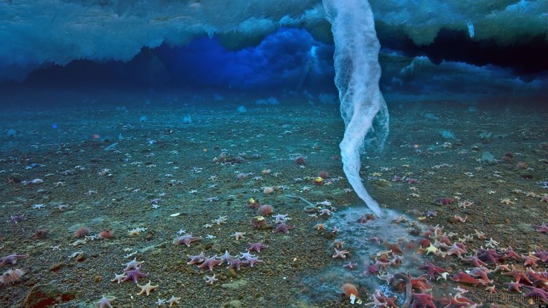 Брайникл — подводный аналог сталактита