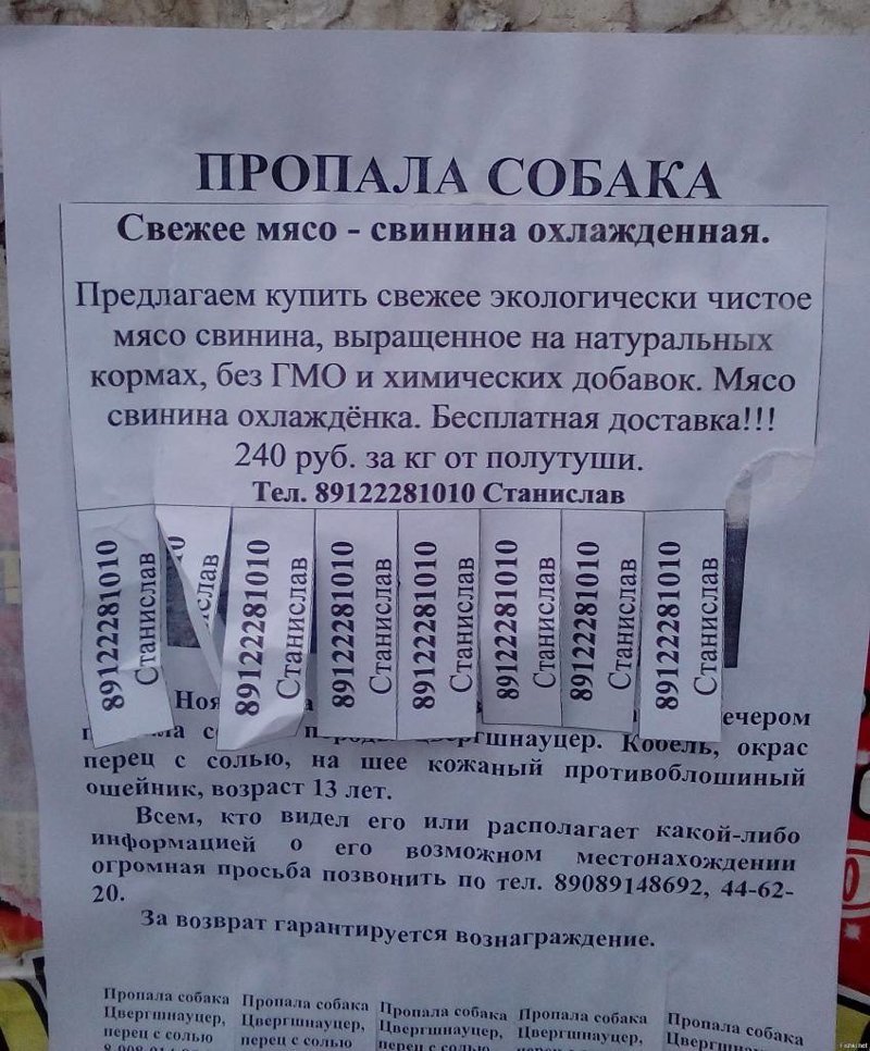 Объявление о пропаже телефона образец