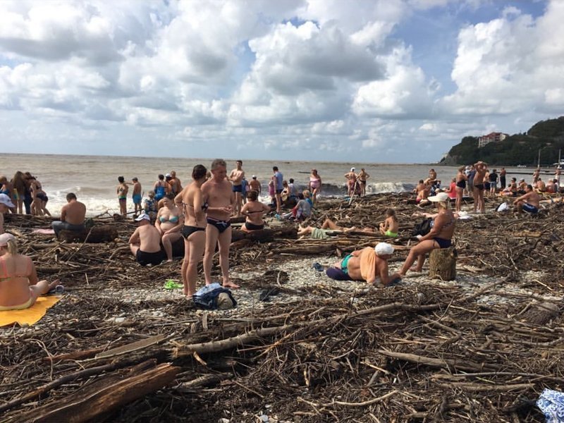 Экостиль, рай для бобров: пользователи соцсетей поделились фото пляжа в Архипо-Осиповке