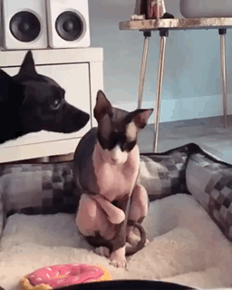 Когда ты не  в настроении