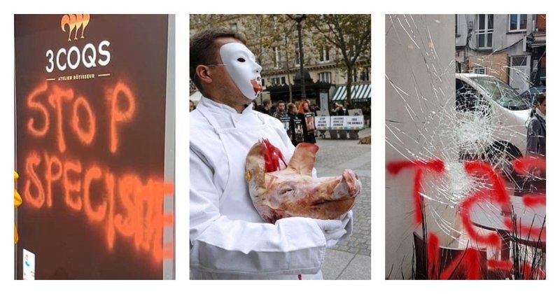 Во Франции задержали группу веганов, терроризирующих фермеров и владельцев сырных магазинов