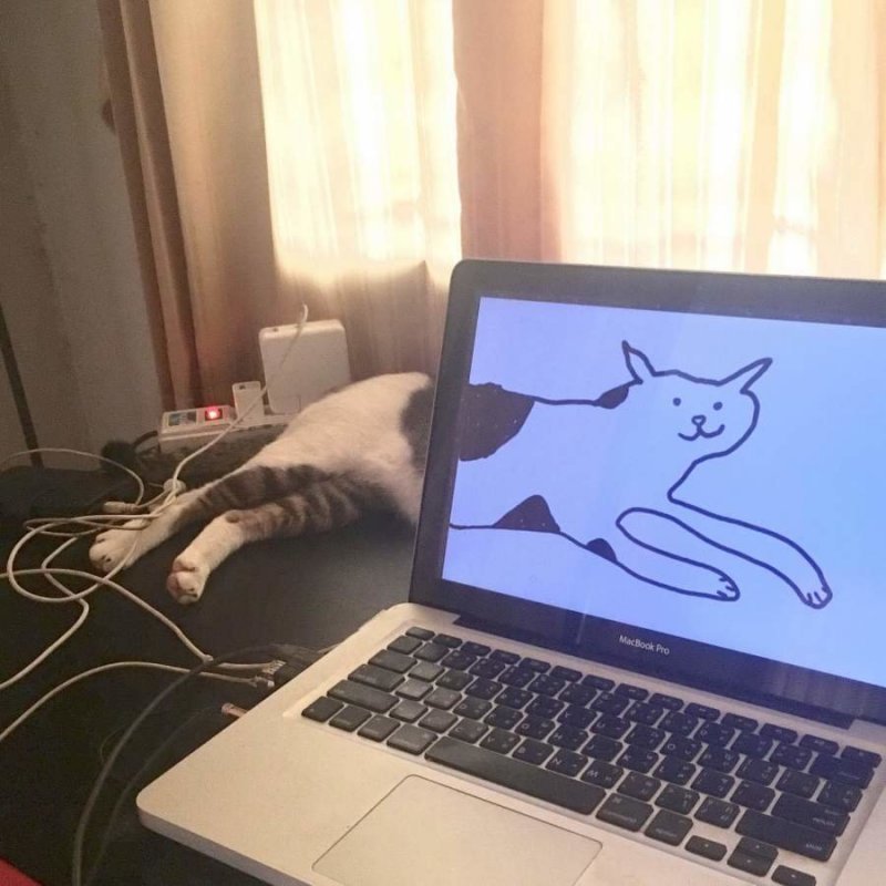 Дорисовал котика