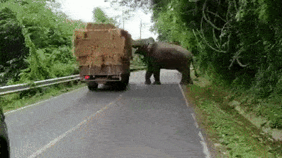 Подборка автомобильных гифок