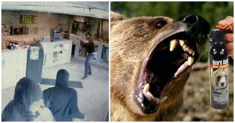 Марихуана медведи видео марихуана медведи видео