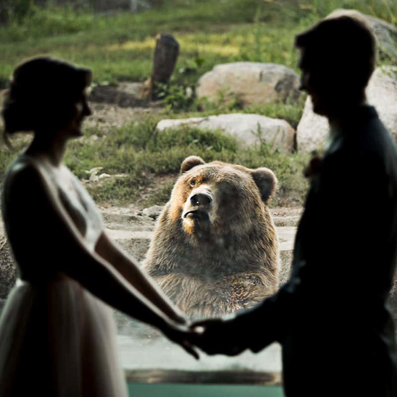 «Вот мы и поженились в зоопарке.»