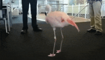 " - Надо меньше пить! Пить меньше надо!.."