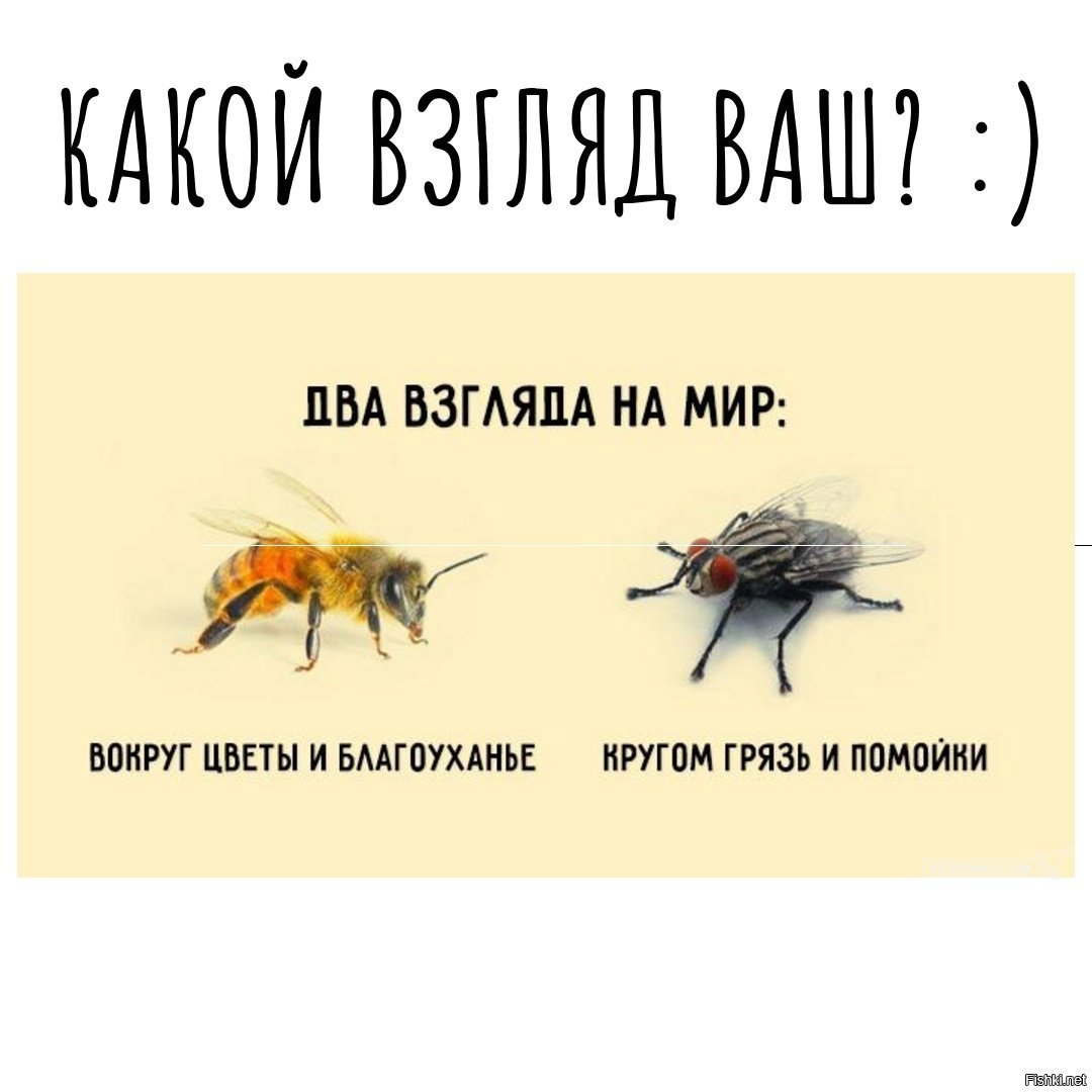 Два взгляда на мир картинка