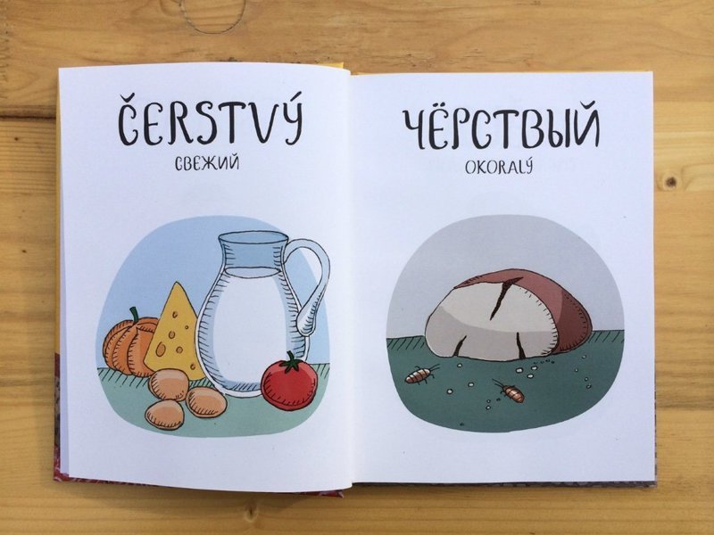 Самый смешной чешско - русский язык с картинками
