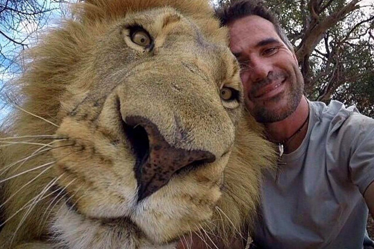 Прикольное селфи. Kevin Richardson Lion Whisperer. Селфи с животным. Смешные селфи с животными. Смешные селфи людей.