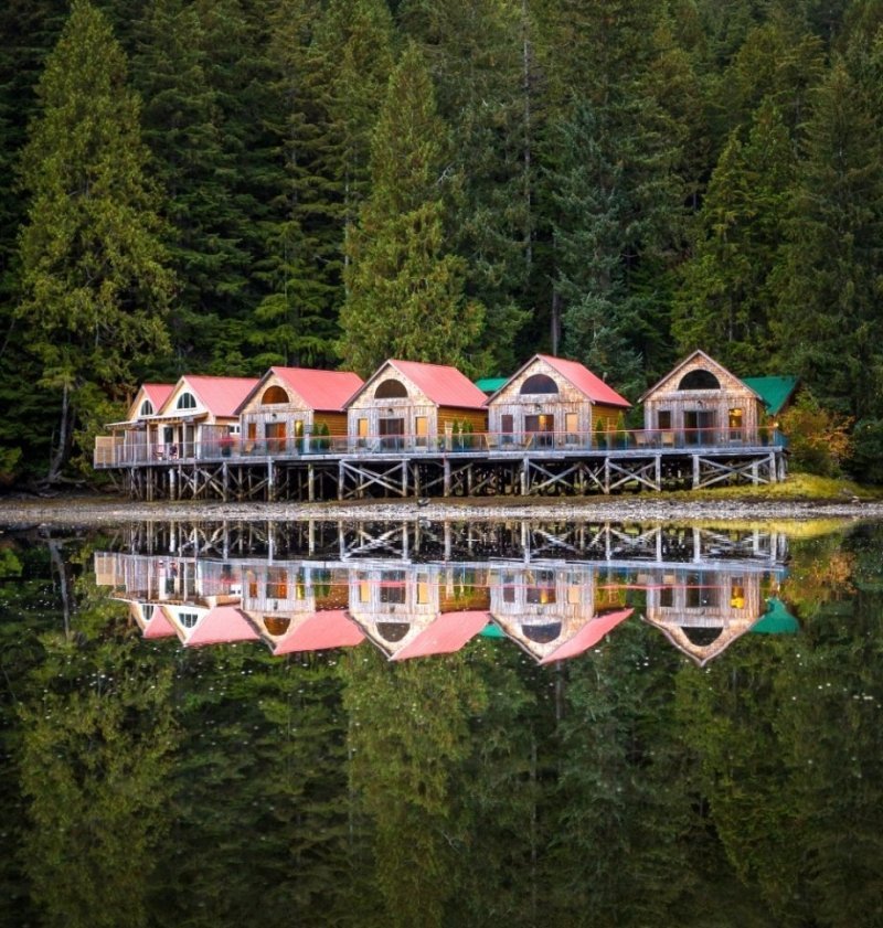 Great Bear Rainforest, Британская Колумбия, Канада