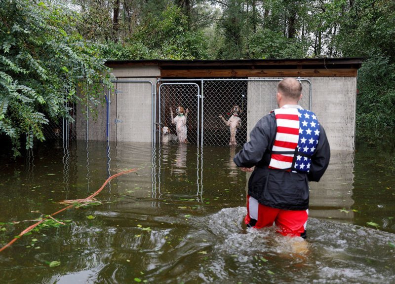 Волонтер спас собак, которые чуть не погибли от наводнения после урагана «Флоренс»