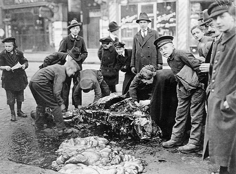 Голодные немцы разделывают мертвую лошадь на мясо. Берлин, 1919 год.